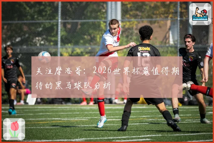 关注摩洛哥：2026世界杯最值得期待的黑马球队分析