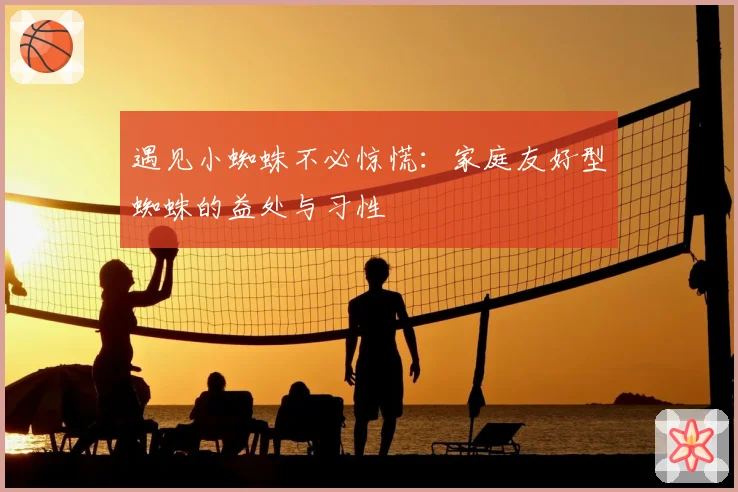遇见小蜘蛛不必惊慌：家庭友好型蜘蛛的益处与习性