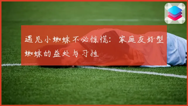 遇见小蜘蛛不必惊慌:家庭友好型蜘蛛的益处与习性