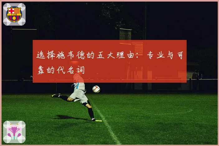 选择施韦德的五大理由：专业与可靠的代名词