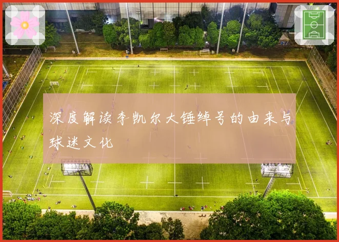 深度解读李凯尔大锤绰号的由来与球迷文化